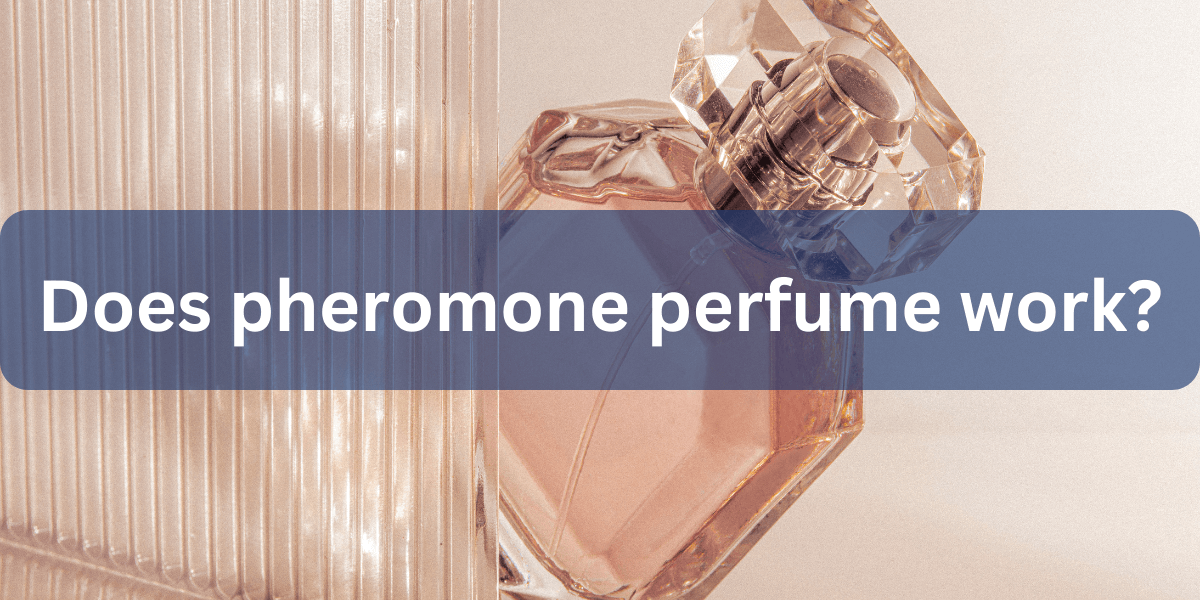 Pheromone perfume discount does it work